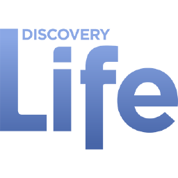 DiscoveryLife.pl.png