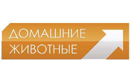 Domashniyezhivotnye.ru.jpg